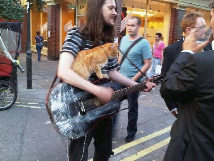 Acid Picdump (118 pics)