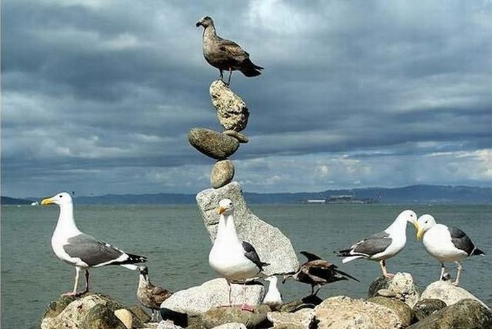 Acid Picdump (118 pics)