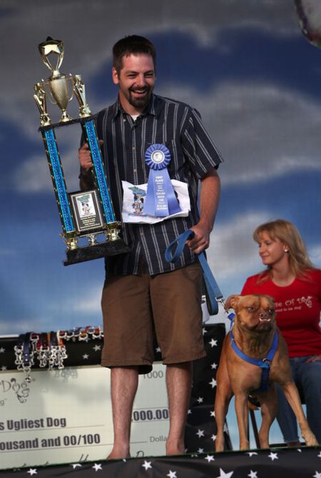 The ugliest dogs on the planet  (11 pics)