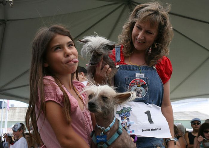 The ugliest dogs on the planet  (11 pics)