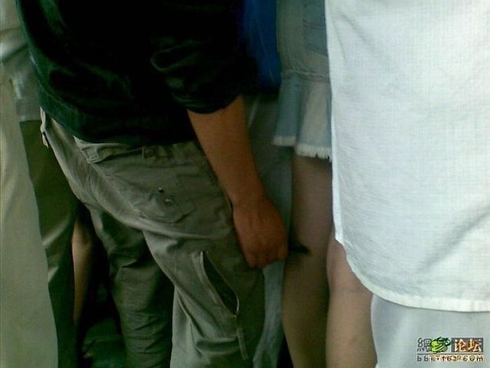 How to take a good photo  (3 pics)