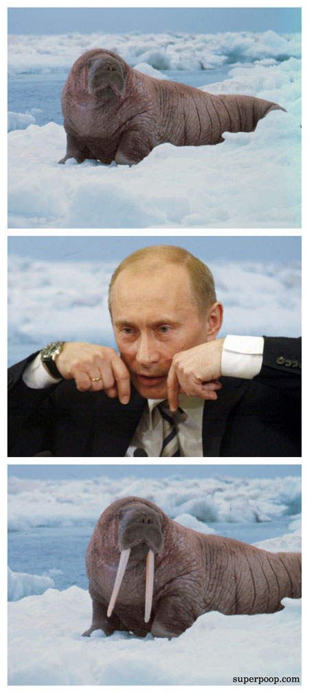 Acid Picdump (86 pics)