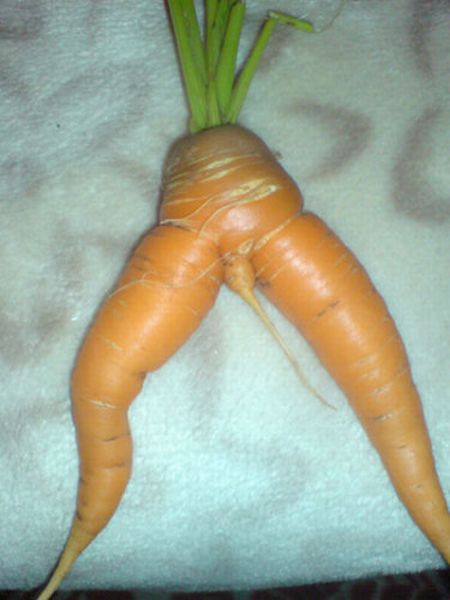 Acid Picdump (86 pics)