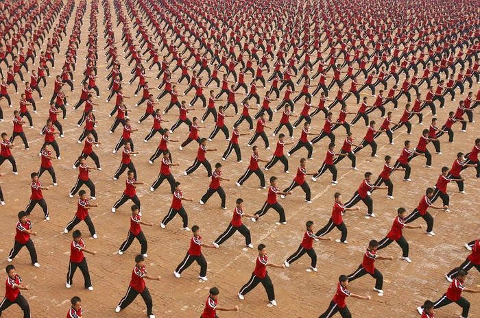 Acid Picdump (86 pics)