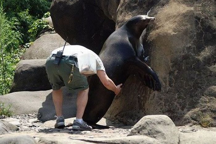 Acid Picdump (86 pics)