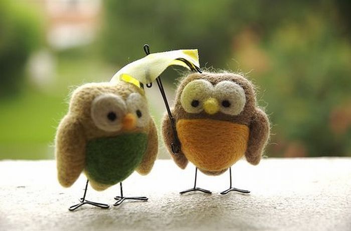 http://cdn.acidcow.com/pics/20090826/pics/10/funny_birds_22.jpg