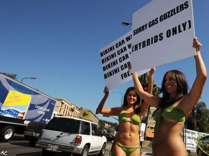 Bikini car wash. Hybrid only.  (21 pics)