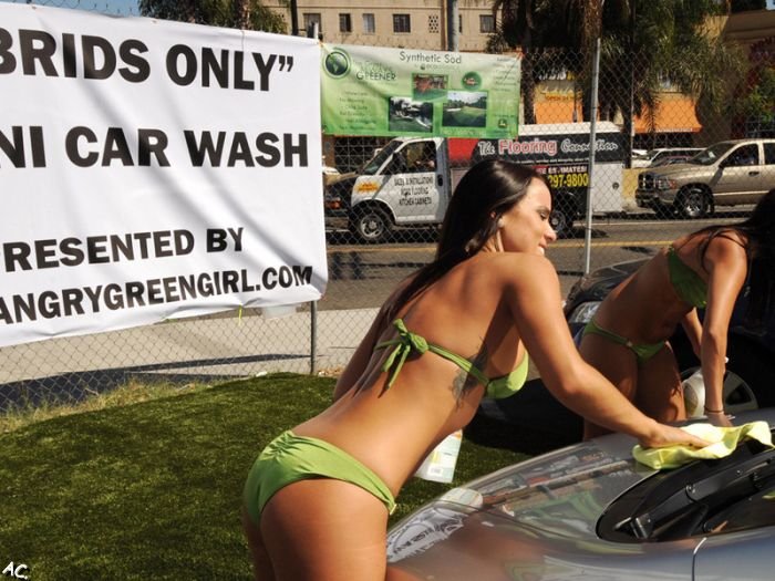 Bikini car wash. Hybrid only.  (21 pics)