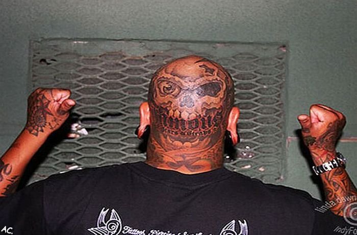 Tattoos on Bold Heads (25 pics)