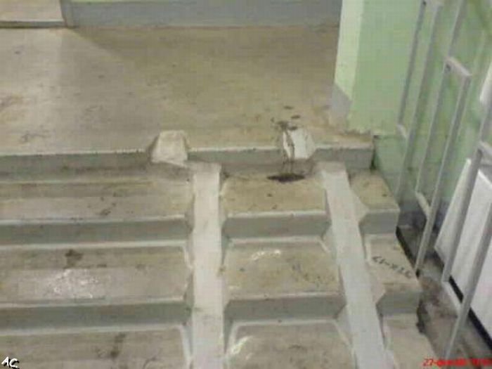 Made for wheelchairs (28 pics)