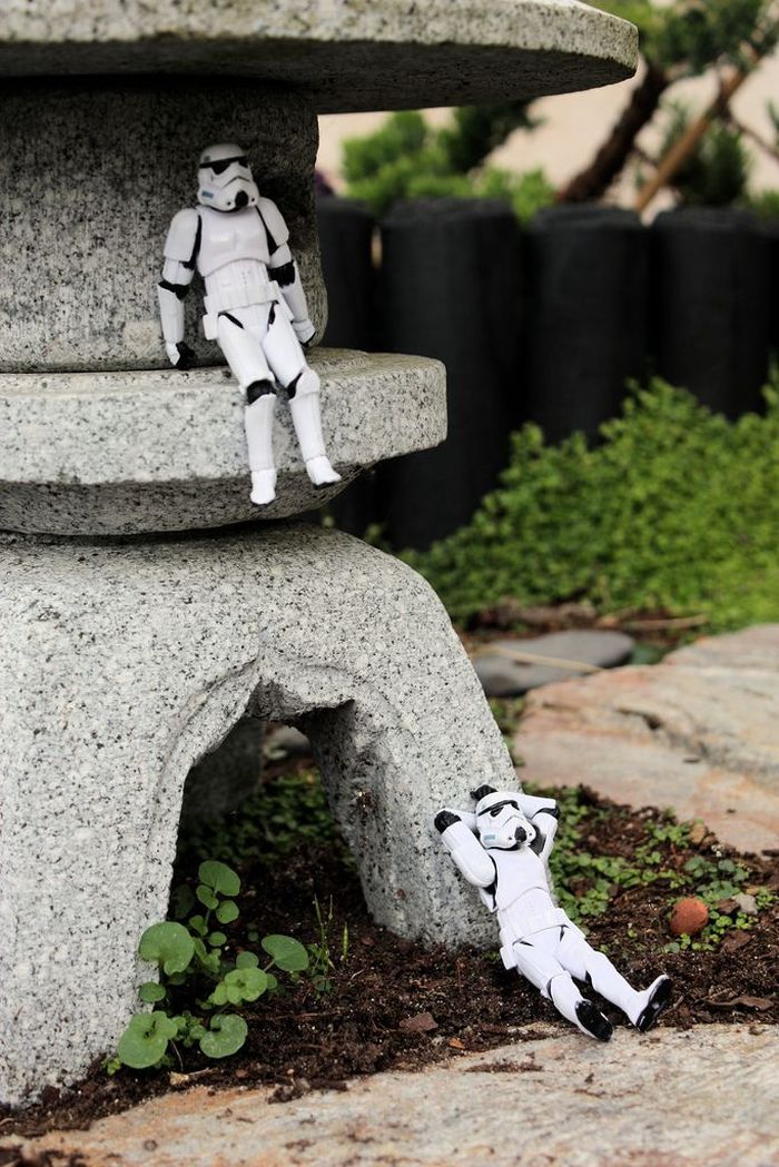 Startroopers in real life  (23 pics)