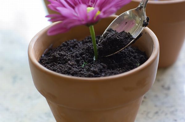 Springy Flower Pot Desserts (40 pics)