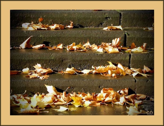 Fall is coming (42 pics)