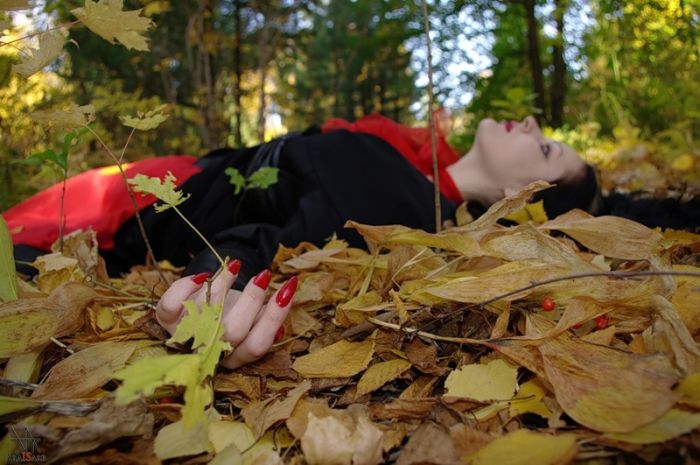 Fall is coming (42 pics)
