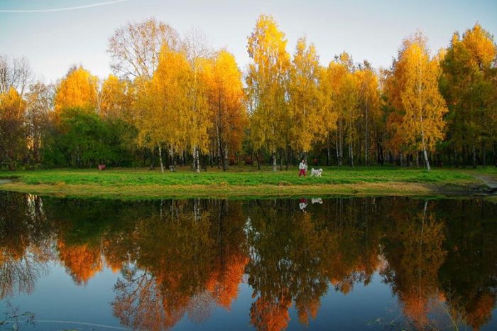 Fall is coming (42 pics)