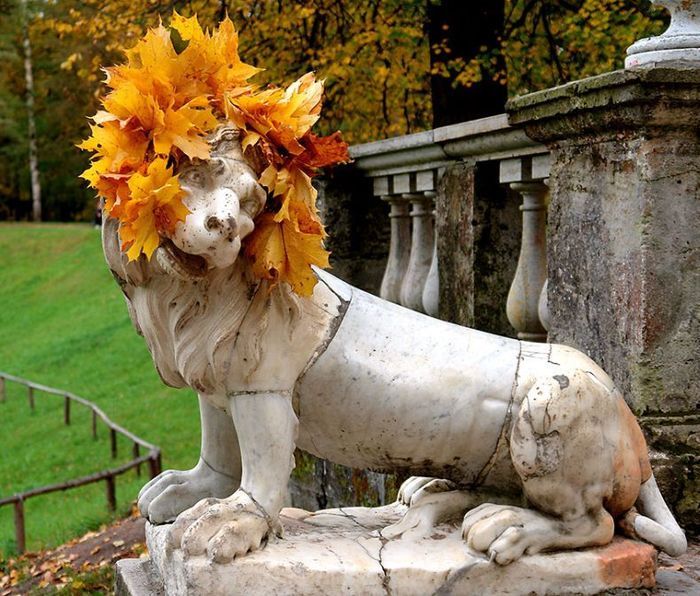 Fall is coming (42 pics)