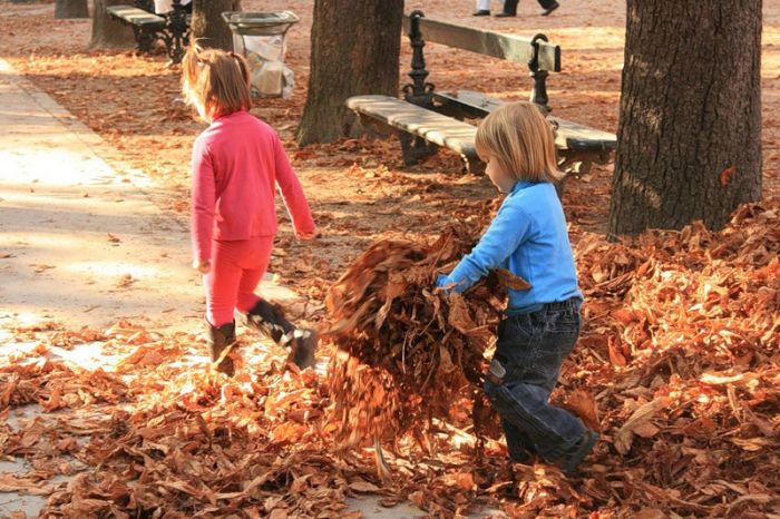 Fall is coming (42 pics)
