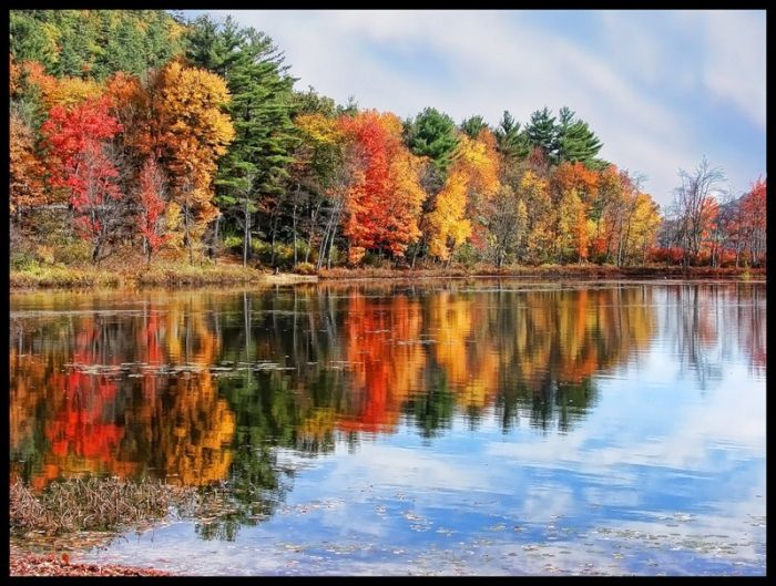Fall is coming (42 pics)