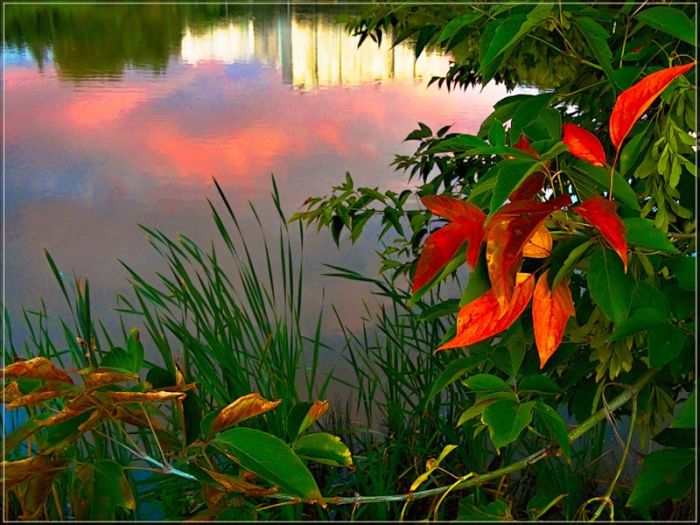 Fall is coming (42 pics)