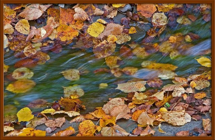 Fall is coming (42 pics)