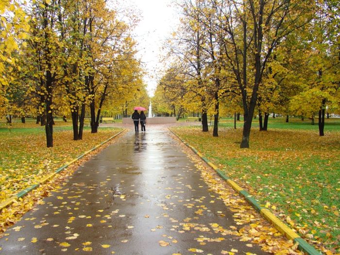 Fall is coming (42 pics)
