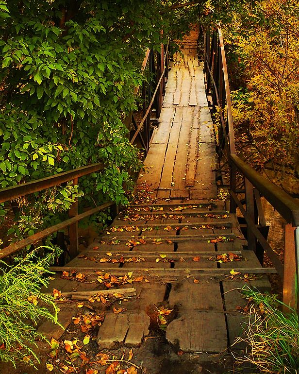 Fall is coming (42 pics)