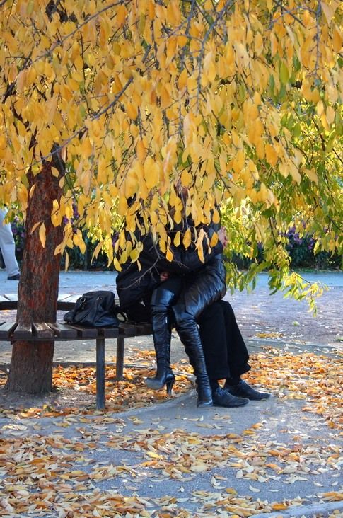 Fall is coming (42 pics)
