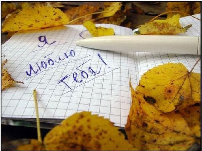Fall is coming (42 pics)