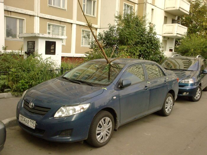 Acid Picdump (171 pics) Acid Picdump (171 pics)