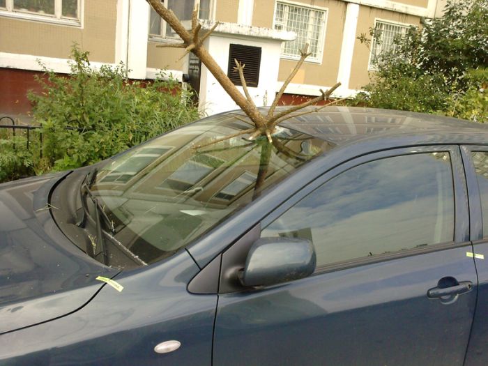 Acid Picdump (171 pics)
