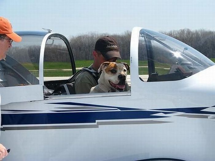 Acid Picdump (171 pics) Acid Picdump (171 pics)