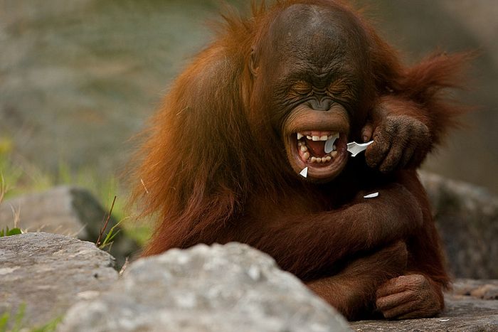 Acid Picdump (171 pics) Acid Picdump (171 pics)