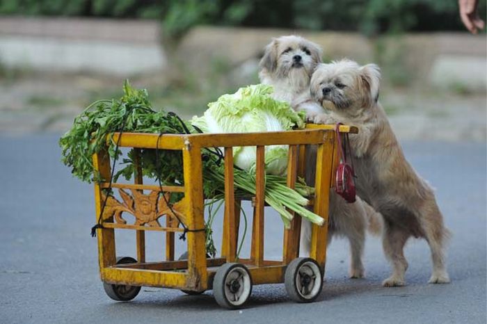 Acid Picdump (171 pics)