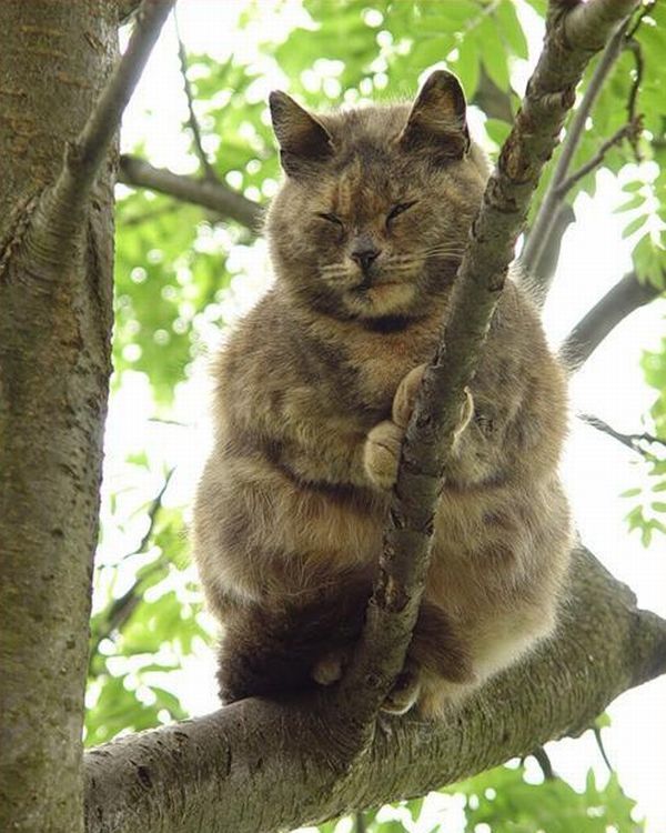 Acid Picdump (171 pics) Acid Picdump (171 pics)