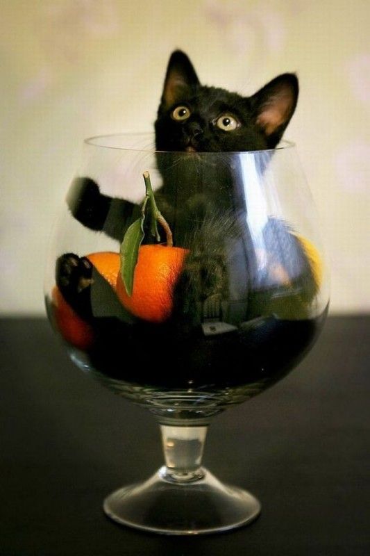 Acid Picdump (171 pics)