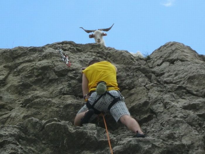 Acid Picdump (171 pics)