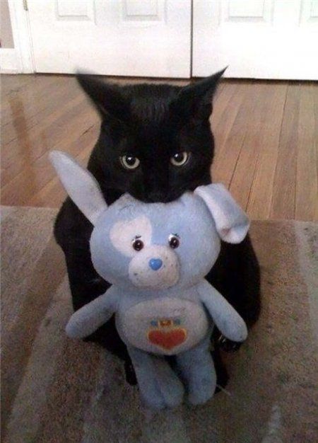 Acid Picdump (171 pics)