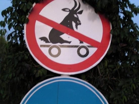 Acid Picdump (171 pics)