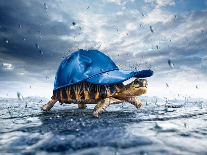 Acid Picdump (171 pics) Acid Picdump (171 pics)