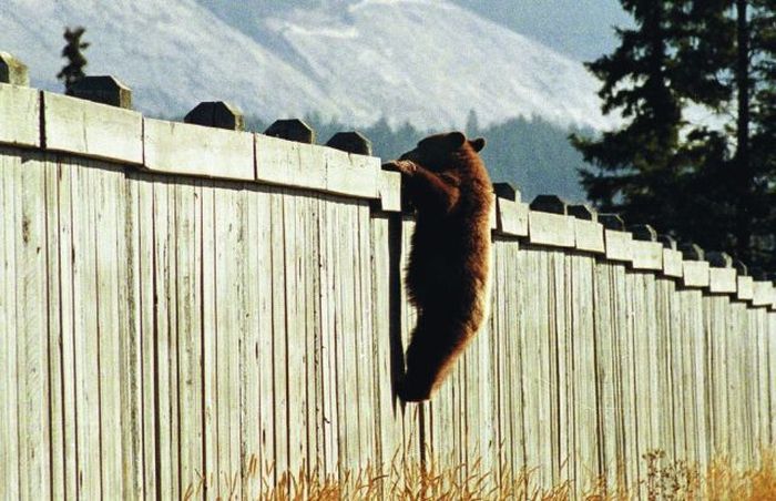 Acid Picdump (171 pics)