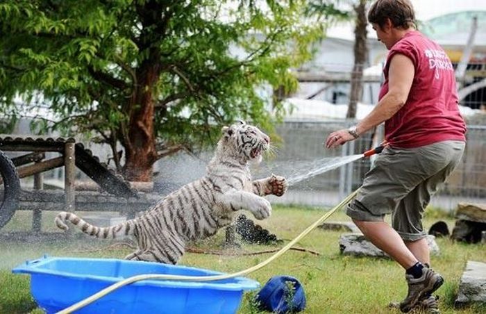 Acid Picdump (138 pics)