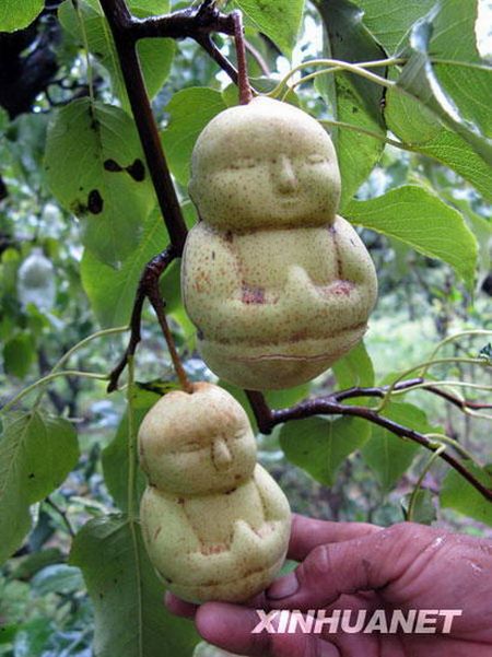 Acid Picdump (138 pics)