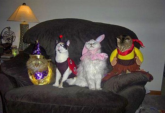 Acid Picdump (138 pics)