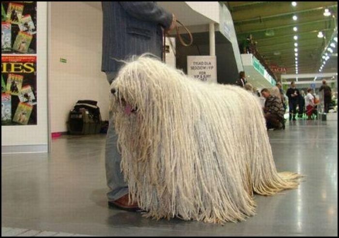 Acid Picdump (138 pics)