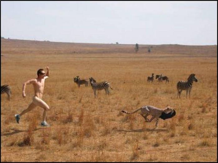 Acid Picdump (138 pics)