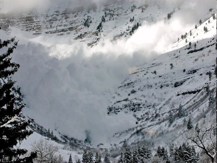 Forces of Nature (34 pics)