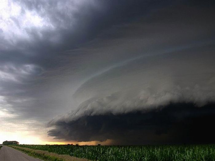 Forces of Nature (34 pics)