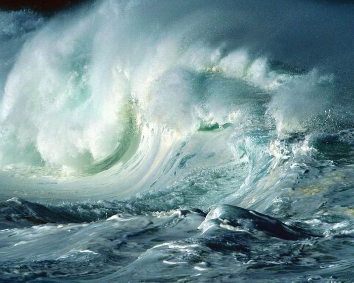 Forces of Nature (34 pics)