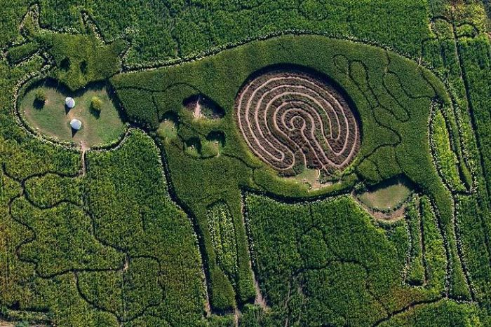 Acid Picdump (109 pics)