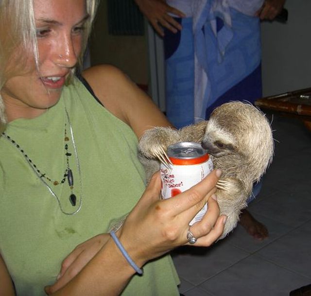 Acid Picdump (109 pics)